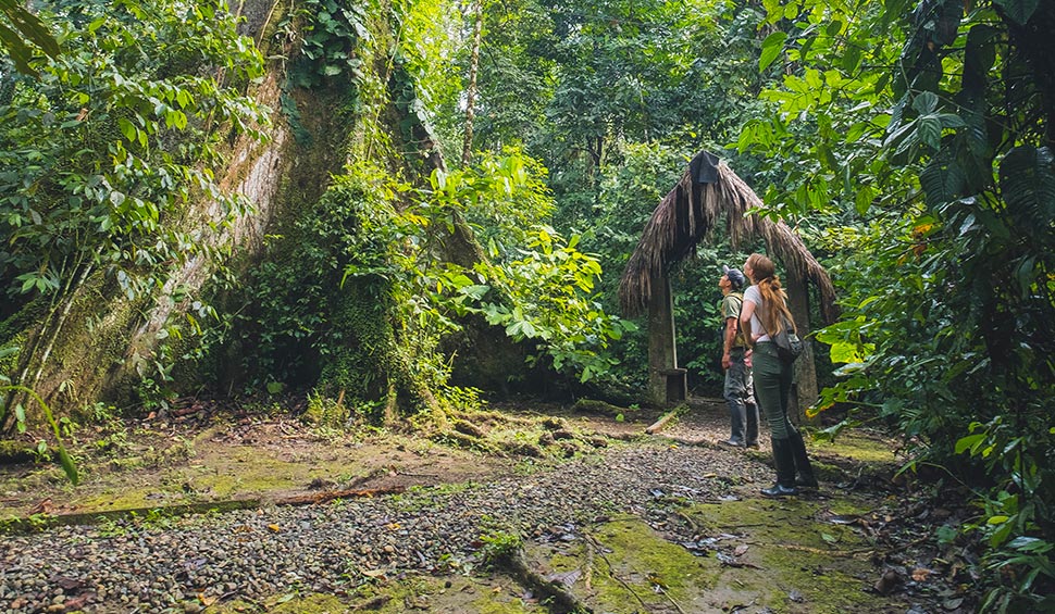 tourist and guide in an amazon excursion