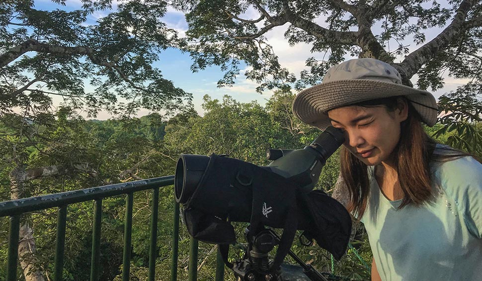 woman observing through a telescope in the jungle