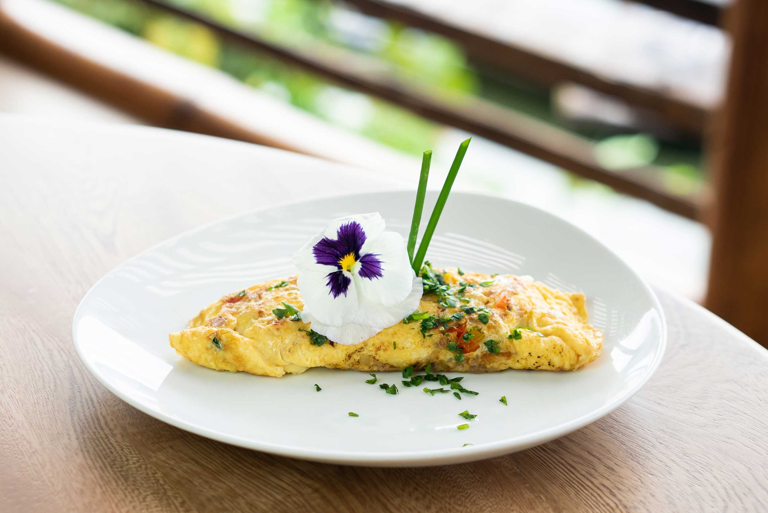 la-selva-eco-lodge-cuisine-2023