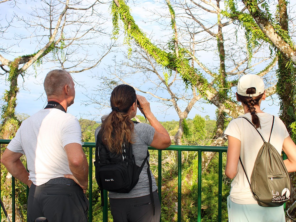 la-selva-observation-tower-2024
