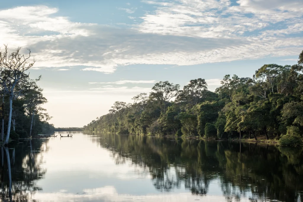 Sloth Conservation in the Amazon: A Deep Dive into Wildlife Rescue and Rehabilitation - Boat Forest River Blue Sky Reflection