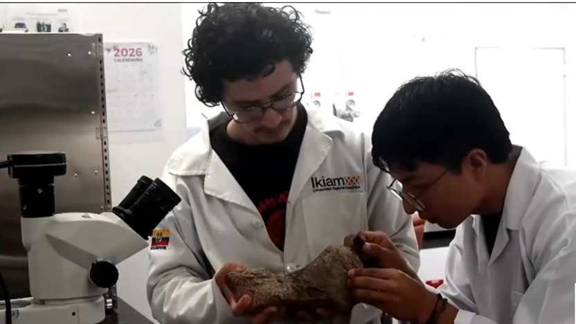 Wakrayampi, this is the first dinosaur found in the Ecuadorian Amazon
