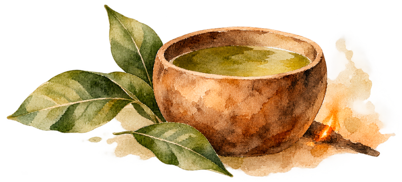 la-selva-tales-chapter4-pilche-of-guayusa