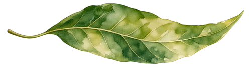 la-selva-tales-chapter6-leaf